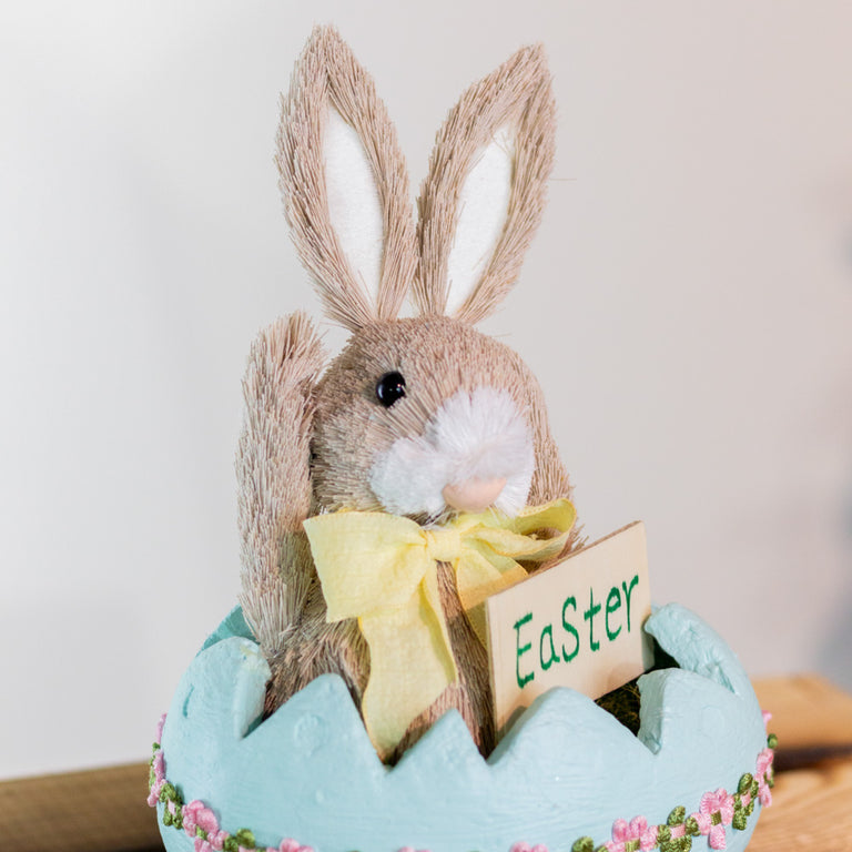 Easter Bunny Baby Boy in Egg