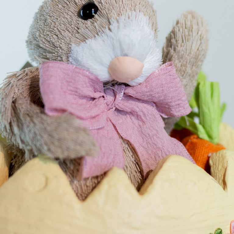 Easter Bunny Baby Girl in Egg