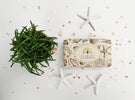 Exquisitely Fragranced Soap Bar Vintage Seaweed