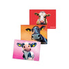 Tipperary Crystal Eoin O'Connor Set of 3 T-Towels