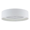 Fan Flush White With Shade LED picture with turned on light
