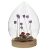 Flower Dell LED Egg Large Lilac picture on the white background