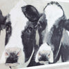 Framed Print Dairy Dolls 95 X 47 Cm close-up view of the printed cows
