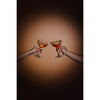 Galway Crystal Erne Saucer Champagne Glass Pair lifestyle view