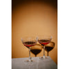 Galway Crystal Erne Saucer Champagne Glass Pair lifestyle view