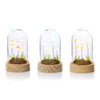 Elegant LED Light Glass Dome With LED Tulips

