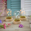 Glowing LED Light Decorative Piece Glass Dome With LED Tulips

