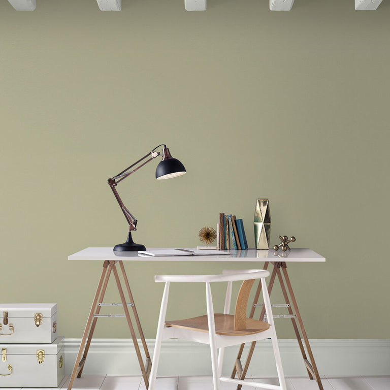 Graham & Brown Artisan Paint