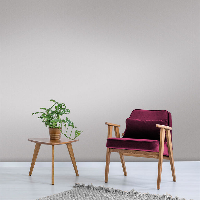 Graham & Brown Lisa Paint