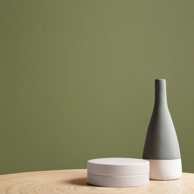 Graham & Brown Palm House Paint