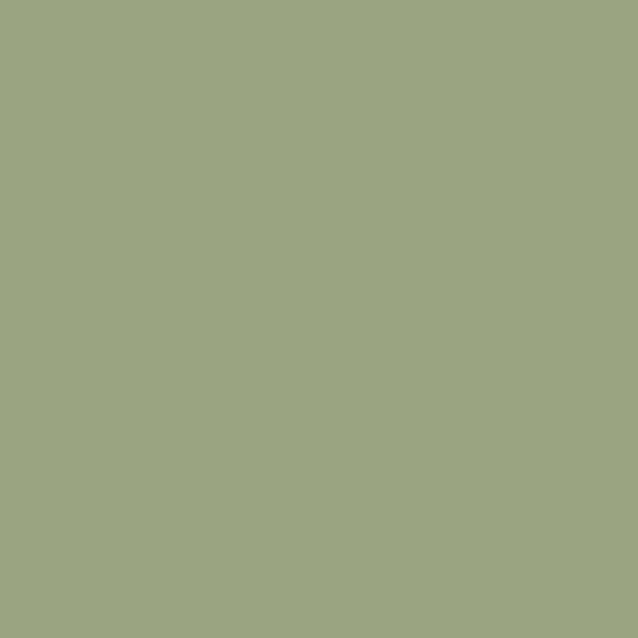 Elegant wall paint in a stunning mid-tone green shade.
