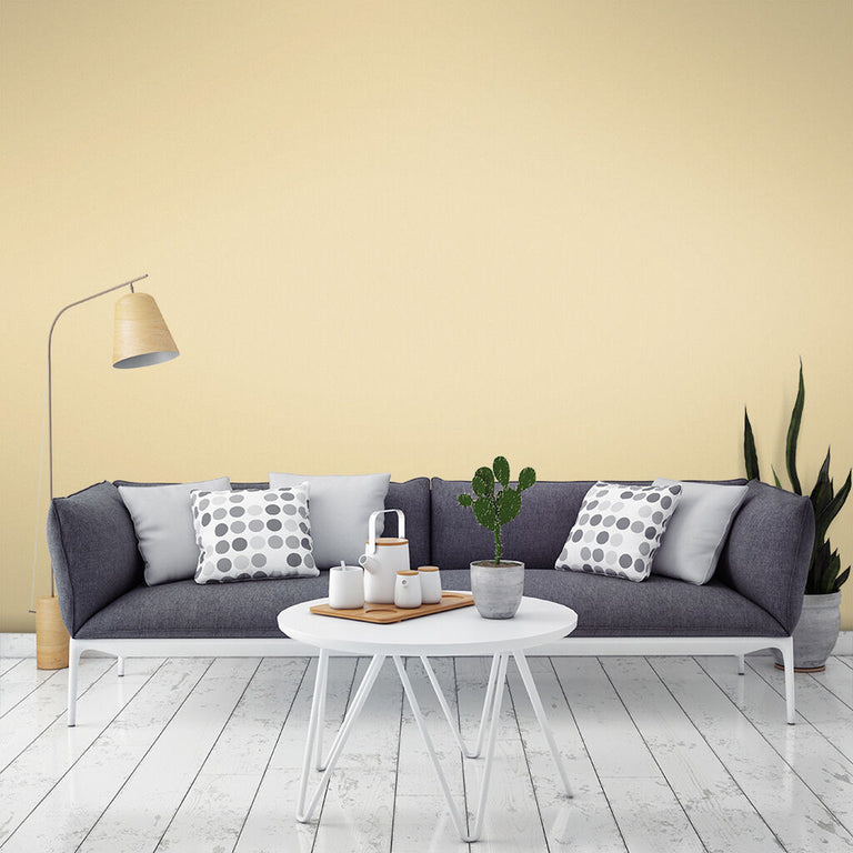 Graham & Brown Pippa Paint