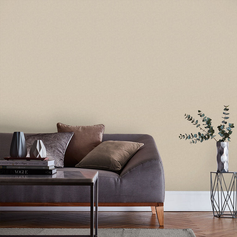 Graham & Brown Plover Paint