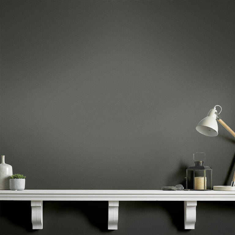 Graham & Brown Sally Cinnamon Paint