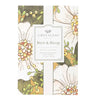 Greenleaf Birch & Bloom Large Scented Sachet picture on the white background