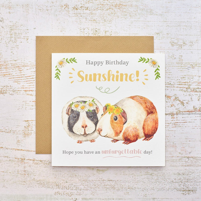 Guinea Pig Happy Birthday Sunshine Card