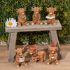 Highland Cow With Party Hat And Cup Cake perfect for home decor