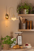 Hadano Wall Light Natural Brass and Flared Glass side view life style picture