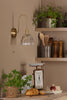 Hadano Wall Light Natural Brass and Scalloped Bell Glass with a clear glass shade