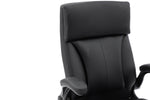 Holden Executive Office Chair Black close view picture of the backrest