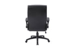 Holden Executive Office Chair Black picture from the back