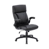 Holden Executive Office Chair Black picture on the white background