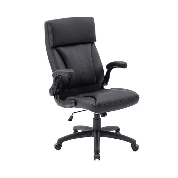 Holden Executive Office Chair Black picture on the white background