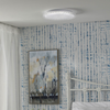 Elevate Your Space with Iben Light Flush