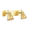Idaho 2 Light Wall Spotlight Natural Brass picture on the white background