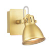 Idaho Single Wall Spotlight Natural Brass picture on the white background