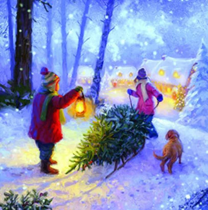 Irish Cancer Society 20 Christmas Cards Pack – Gift Cards for Christmas