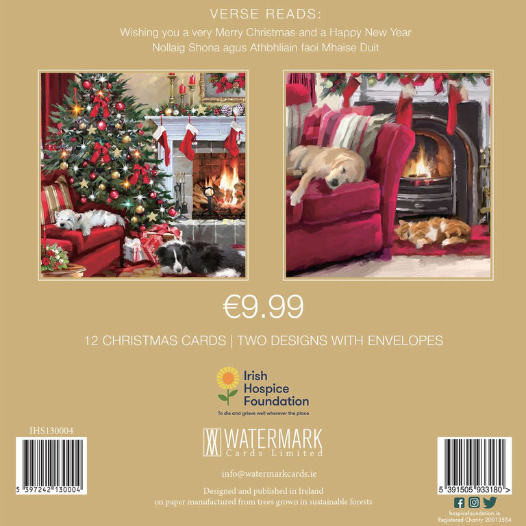 Irish Hospice Foundation Christmas Cards Box – Snowing Outside