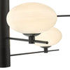 Jasper 6 Light Pendant Matt Black close view picture of the pendant frame