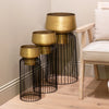 Lia Planter with Stand Brass and Black Medium life style picture with large and small planters