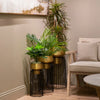 Lia Planter with Stand Brass and Black Medium life style picture with other size planters and plants in them