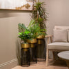 Lia Set of 3 Planters With Stand Brass Black life style picture