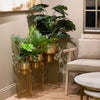 Lia Set of 3 Planters With Stand Gold life style picture