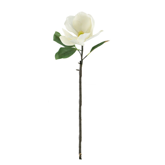 Magnolia Stem White 76 cm picture on the white background
