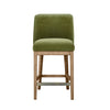 Massimo Counter Stool Green front view picture