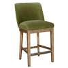 Massimo Counter Stool Green picture on the white background