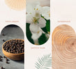 Mindful Moments Essential Oil Blend 10 ml with its fragrance notes illustrated