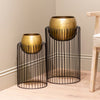 Misha Set of 2 Planters With Stand Brass Black close view picture of the planter pots