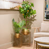 Misha Set of 2 Planters With Stand Gold life style picture