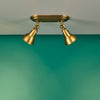 Nathaniel 2 Light Semi-Flush Spotlight Aged Brass life style picture
