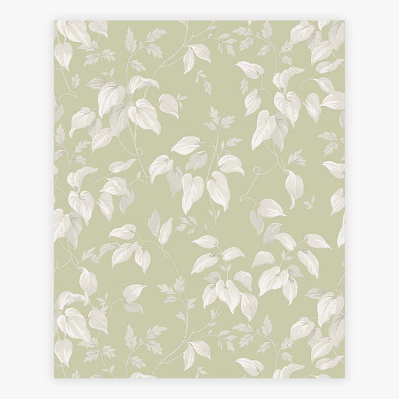 Intricate leaf and branch design on sage green background wallpaper