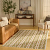 Nourison Nordic Rug NRC08 Multicolor lifestyle piture in the living room