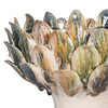 Olbia Footed Bowl close view picture of the bowl design and color scheme