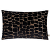 Scatterbox Cushion Olten Black/Gold available in 2 sizes
