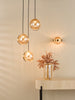 Ophira 3 Light Cluster Pendant Antique Gold life style picture