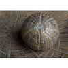 Scatterbox Oriana Ornamental Orb Gold top view picture